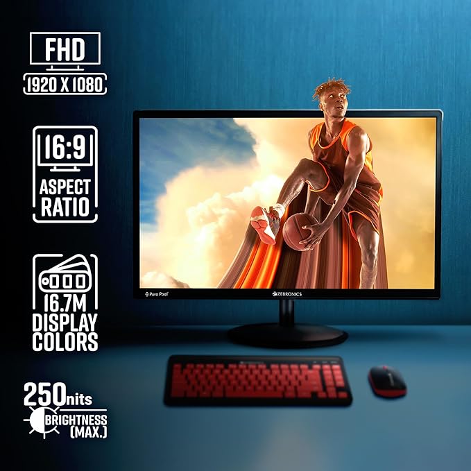 Zebronics 24-Inch Monitor (New)