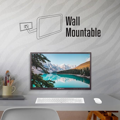 Zebster 19-Inch V19HD Monitor (New)